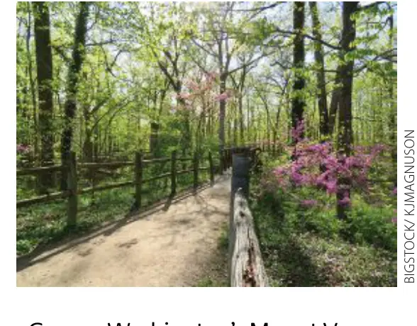 A trail along the Mount Vernon Trail. (Bigstock/KJMagnuson)