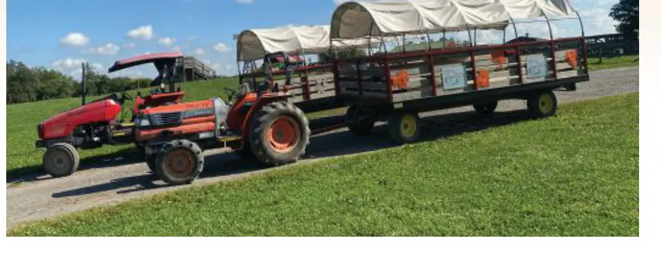 Photo courtesy Clark's Elioak Farm