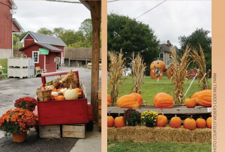 Photo courtesy Weber's Cider Mill Farm