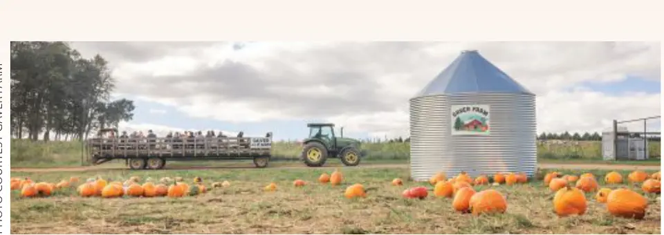 Photo courtesy Gaver Farm