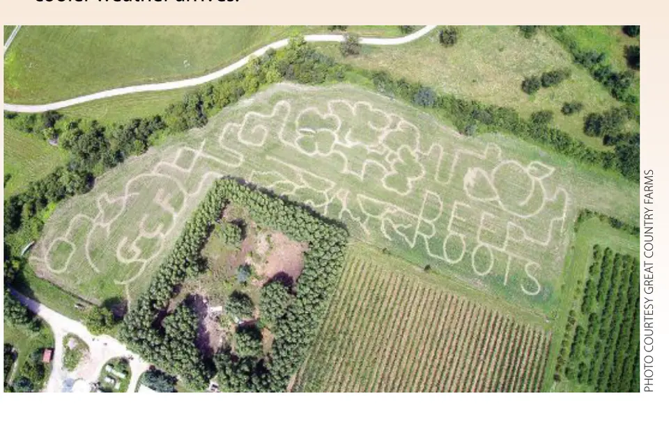 Photo courtesy Great Country Farms